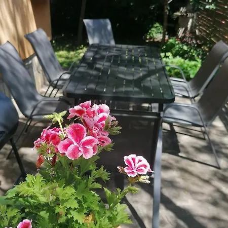 Rózsa